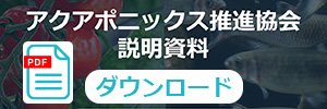 資料DL